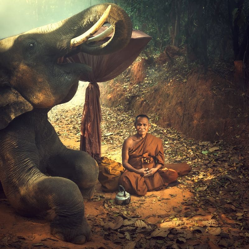 Bracelet jonc bouddhiste signification